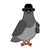 DON PALOMO - @don_palomo_ - TikTok
