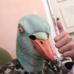 DonPalomo - @donpalomo820 - Instagram