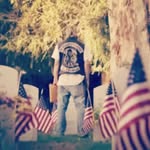 Don Papillon - @donpapillon9 - Instagram