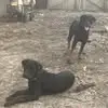 donniepardue6 - @donnie.pardue - TikTok