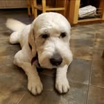 Don Parenteau - @parenteau_don - Instagram