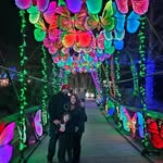 Don Parrish - @donaldparrish263 - Instagram