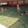 Don Parrish - @don.parrish2 - TikTok