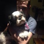Andrew Parrott - @parrott_don - Instagram