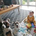 Don Paterson - @donpaterson7 - Instagram