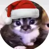 donpatzel - @donpatzel - TikTok