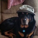 Don Paxton - @speedster85201 - Instagram