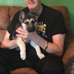 Don Paxton - @don.paxton.393 - Instagram