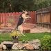 Don Paxton - Facebook