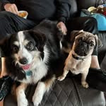 Don Paynter - @dopay2 - Instagram
