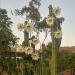 Don Peck - @gramgrampspeck - Instagram