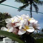 Don Peel - @ddaloha69 - Instagram