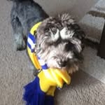 Don Peel - @don.peel - Instagram