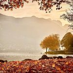 Donna Peifer - @donna.peifer - Instagram