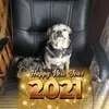 Donna Pellerin847 - @donnapellerin - TikTok