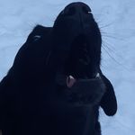 donnie Pelletier - @donnie.pelletier - Instagram