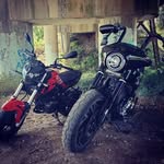 Donald Pemberton - @donmegpemberton - Instagram