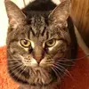 don.penfield - @don.penfield - TikTok