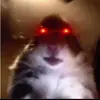 Landon.Penfield - @landon.penfield - TikTok