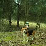 Don Penn - @sdonpenn - Instagram