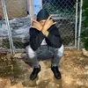 don_penny - @don_penny - TikTok