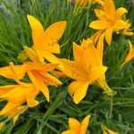 Don Penner - @pennerdon - Instagram