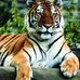 Don Piatt - Facebook