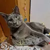 donatellapiatta33 - @donatellapiatta33 - TikTok
