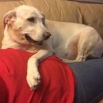 Don Pickering - @packersfanpickle - Instagram