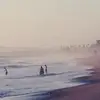 DonaldPollack3361 - @donaldpollack3361 - TikTok