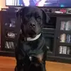 don powers - @don.powers0 - TikTok