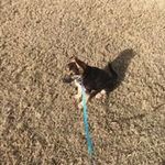 Don Pratt - @donp1161 - Instagram