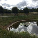 Don Prentice - @dhp13538 - Instagram