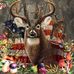 Don Prentice - Facebook
