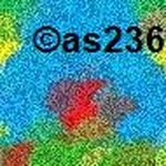 Don Pringle - @as2362795 - Instagram