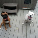 Don Prior - @donprior - Instagram