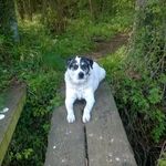 Don Prior - @don.prior.50 - Instagram