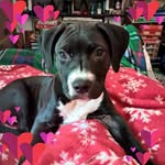 Don Quinn - @don.quinn.50 - Instagram