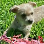Don Randell - @texastiger281 - Instagram