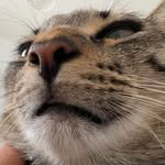 Felix Don Gato Randell - @felixatgrammies - Instagram