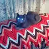 Don Rawson - @don.rawson - TikTok