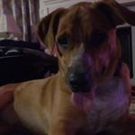 Don Redden - @dredden1120 - Instagram