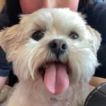 Don Reeves - @don.reevesjr - Instagram