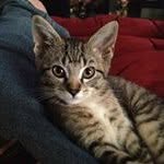 Don Reeves - @kentuckyranger - Instagram