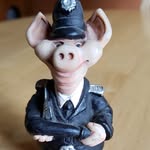 Don Regan - @456rmdr - Instagram