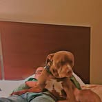 Don Remington - Facebook