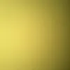 Donna Remington - @donna.remington - TikTok