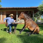 Don Rey Entrenamiento Equino - @don_rey_entrenamiento_equino - Instagram