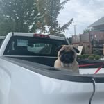Don Riddell - @don.riddell.9256 - Instagram