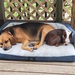 Donald Ridenour - @drofmaine - Instagram